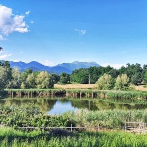 LAGHETTO DI SOVENIGO